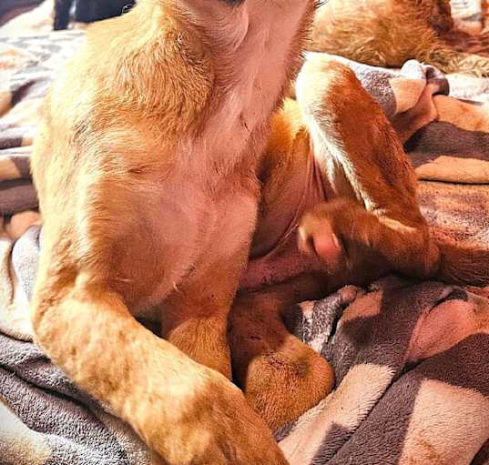 Photo of BUSTER