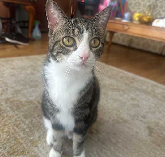 Photo of Missy