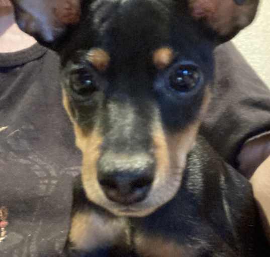 Photo of Mickey