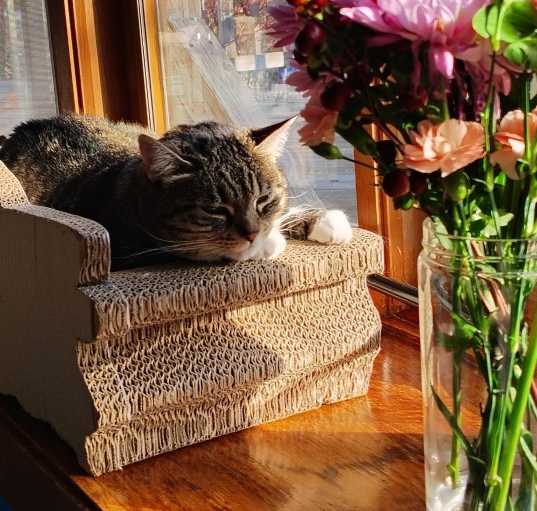 Photo of Abby