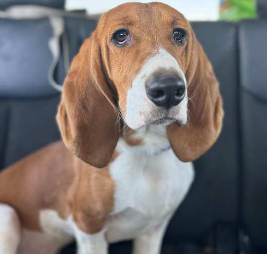 Photo of Roger
