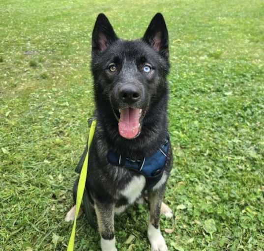 Photo of Azul