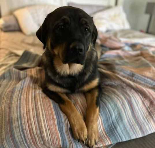 Photo of Maya