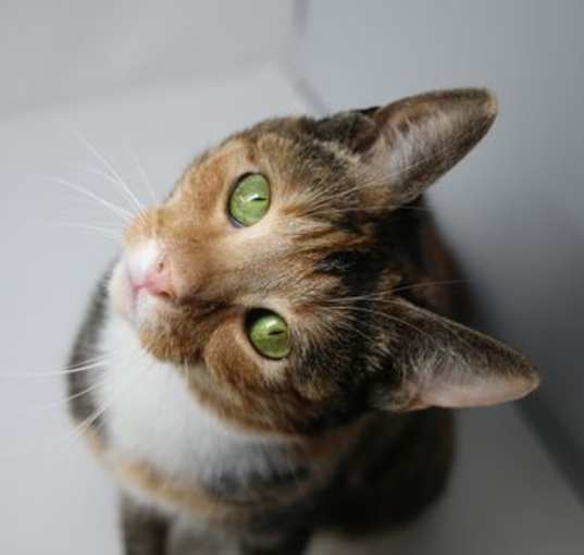 Photo of Gretchen