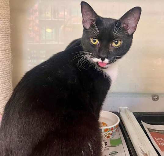 Photo of Cash