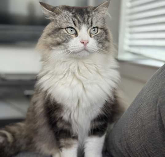 Photo of Armani