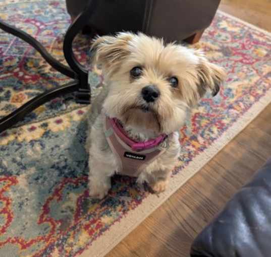 Photo of Mollie I (New Digs)