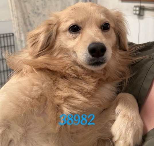Photo of Cappuccino