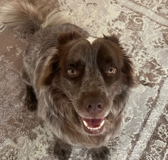 Photo of Bink