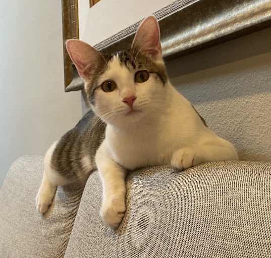 Photo of Roger