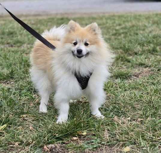 Photo of Bryce (NKA Bennent)~