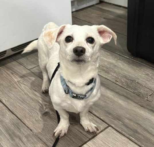 Photo of Popcorn