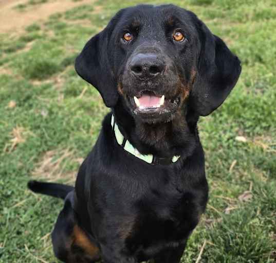 Photo of Alfred