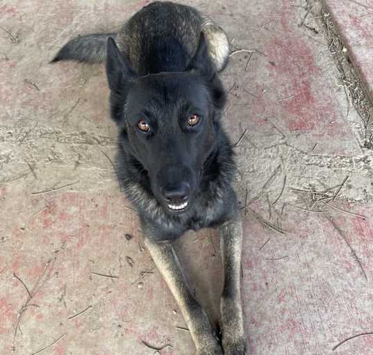 Photo of Loba