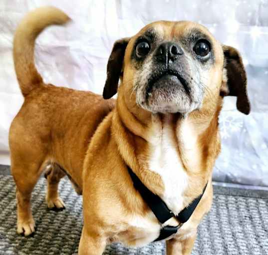 Photo of Max