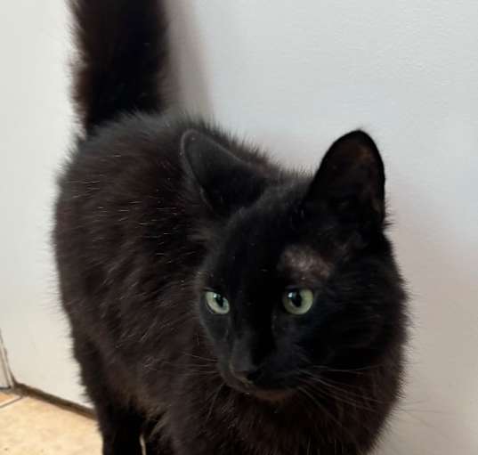 Photo of Nocturne