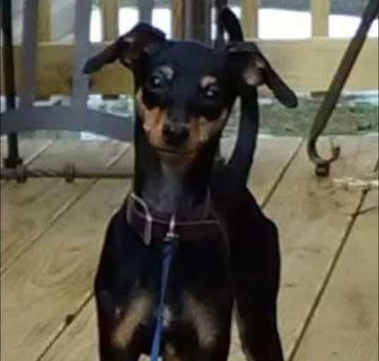 Photo of Chevy