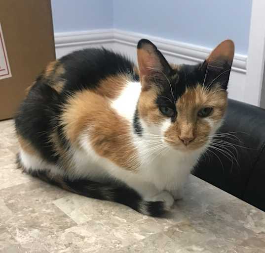 Photo of Charlotte