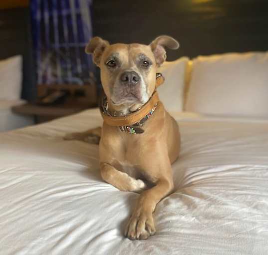 Photo of Lola