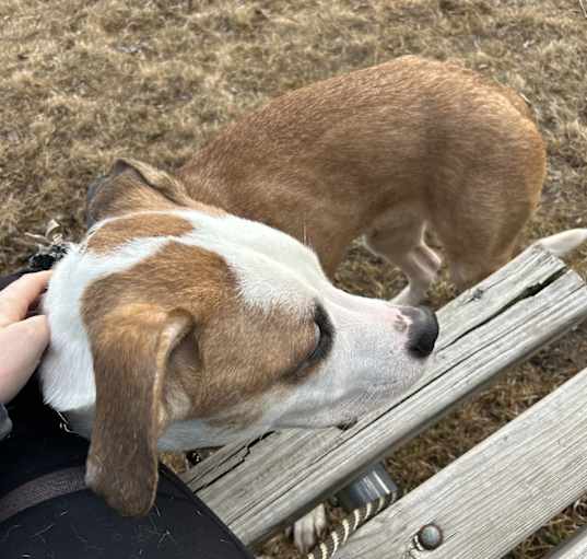 Photo of Lenny