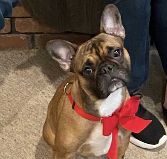 Photo of Gus