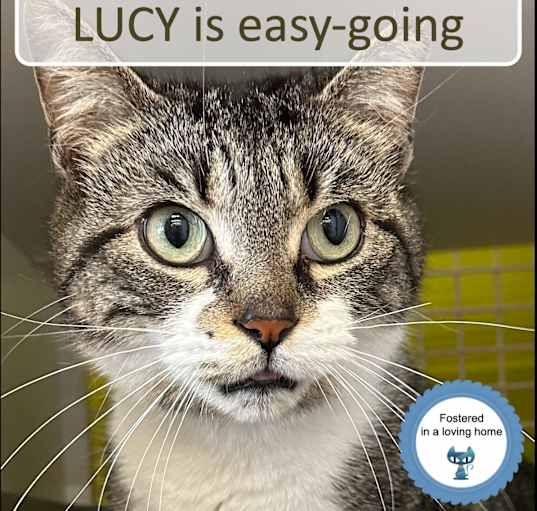 Photo of Lucy