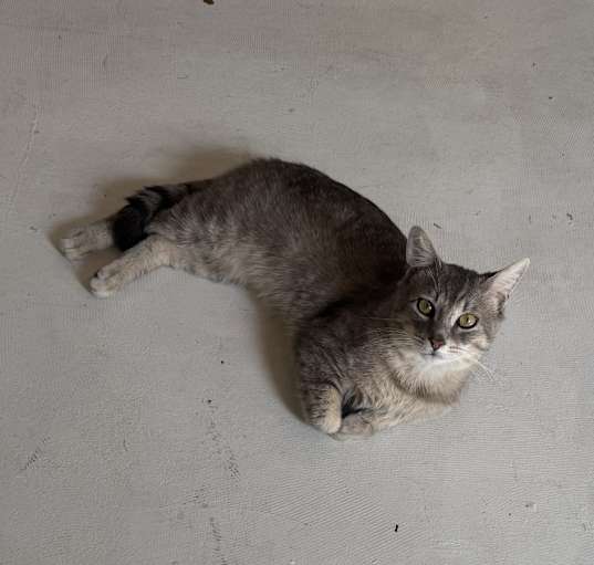 Photo of Tito