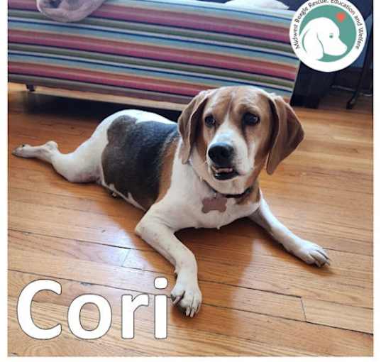 Photo of CORI