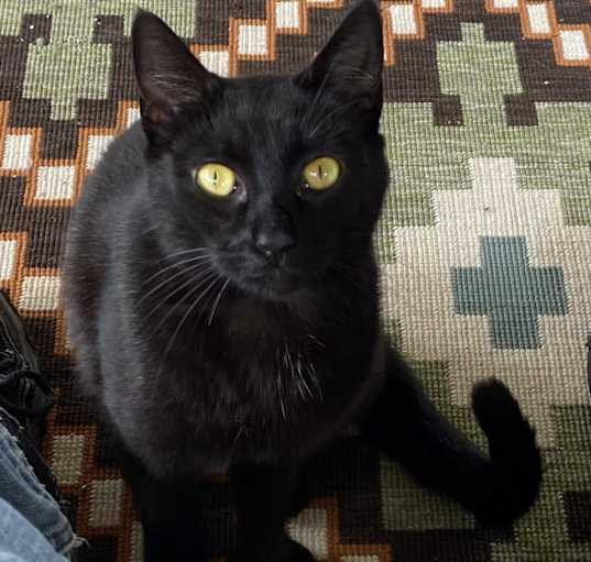 Photo of Missy