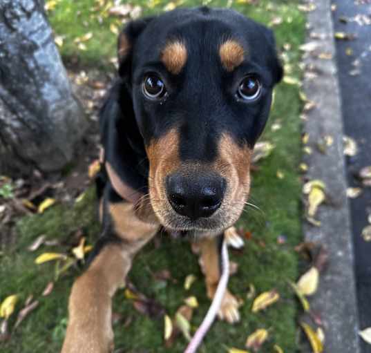 Photo of Athena