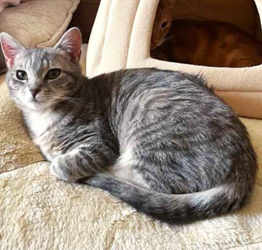 Photo of Lazarus