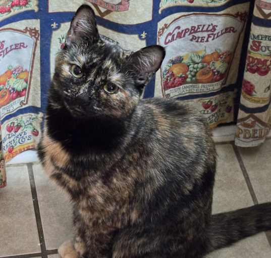 Photo of Elvira