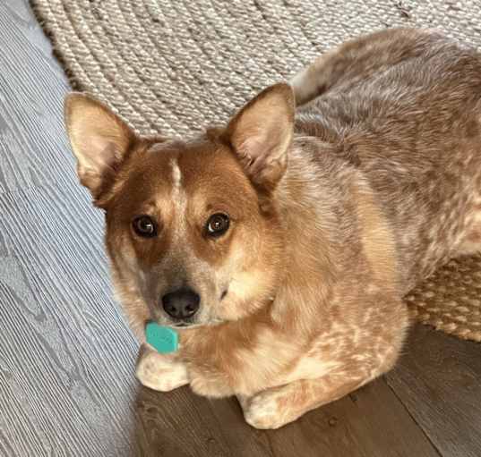 Photo of Margo