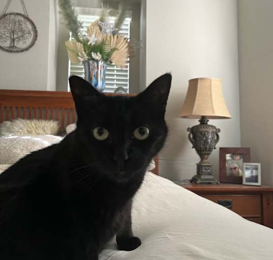 Photo of Crystal