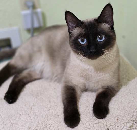 Photo of Molly