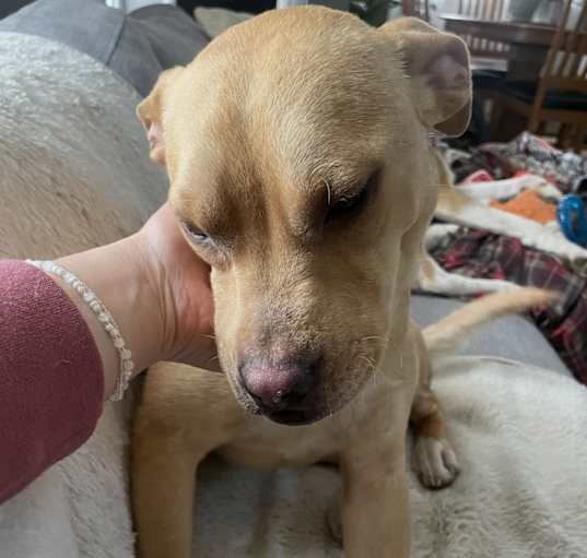 Photo of Sandy