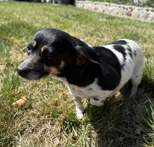 Photo of Fiona