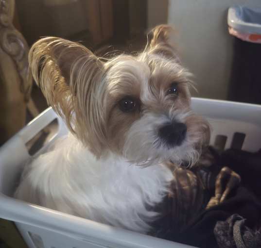 Photo of Sophia