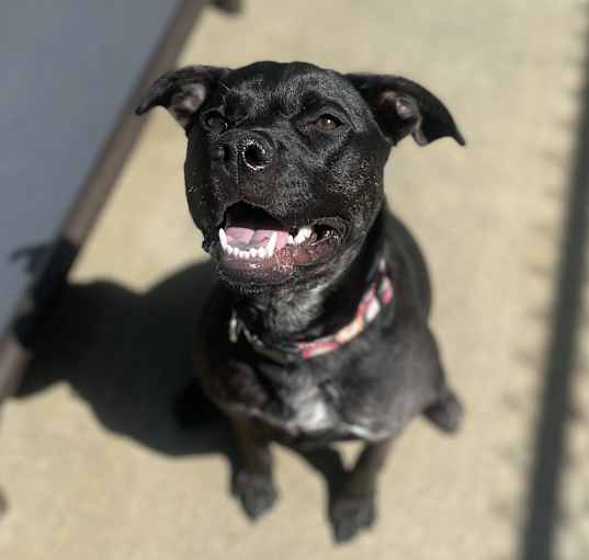 Photo of CoCo