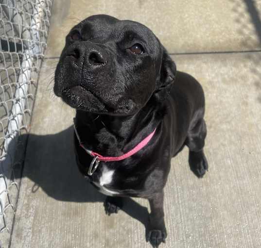 Photo of Penelope