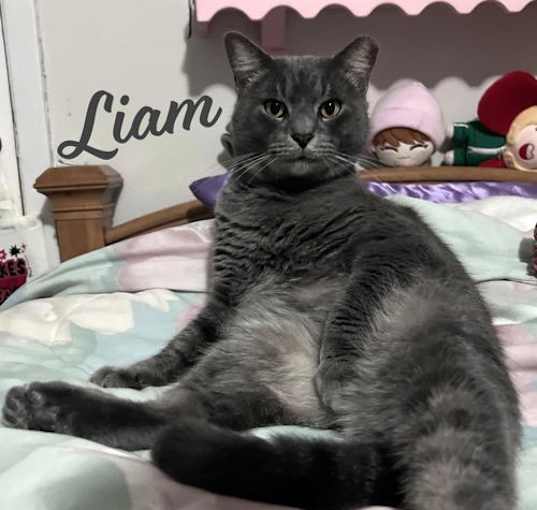 Photo of Liam #wooly-wonder