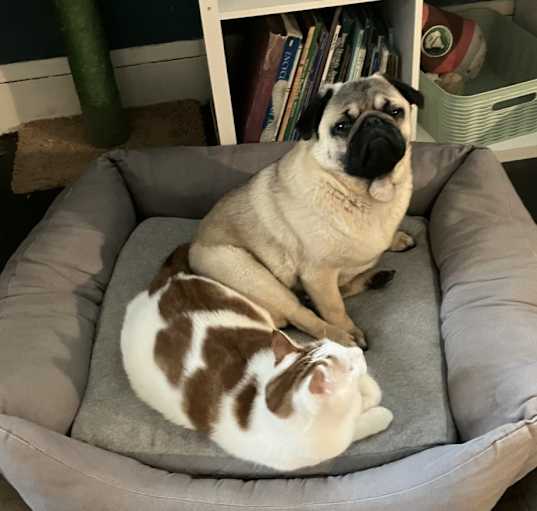 Photo of Larry