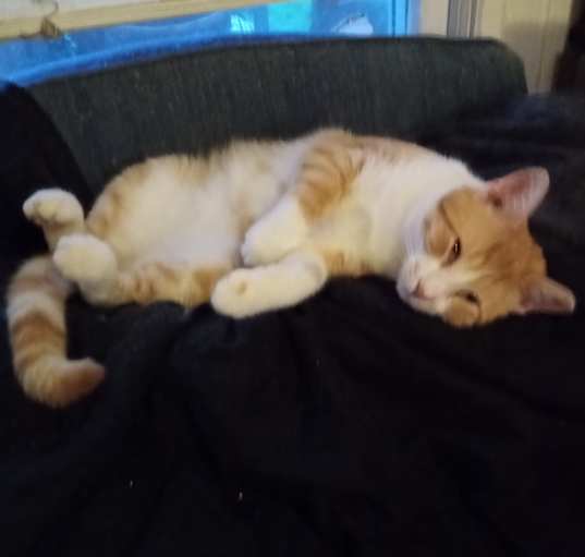 Photo of Mr. Charming