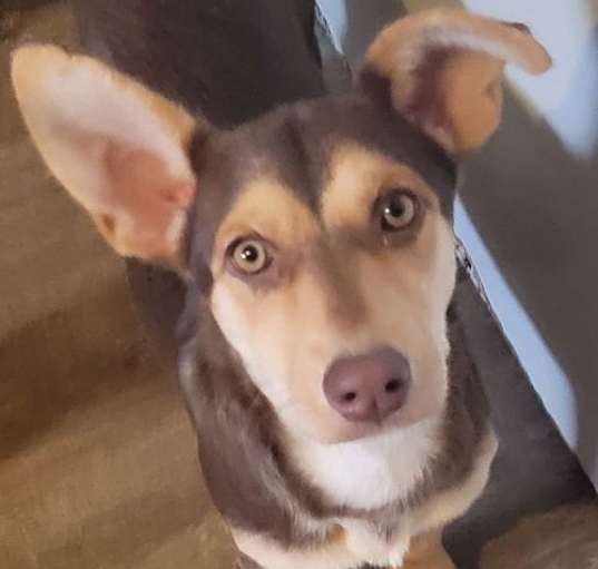 Photo of Portia