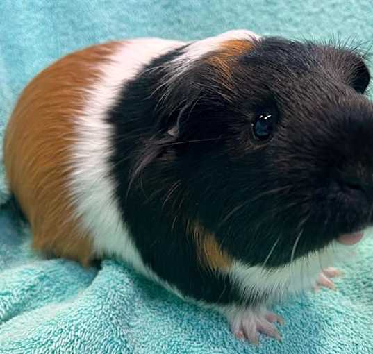 Photo of JJ