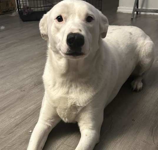 Photo of DAISY