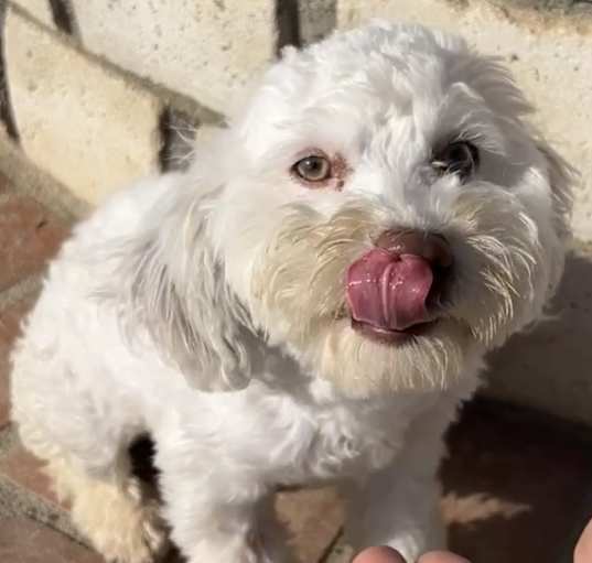 Photo of Yuki