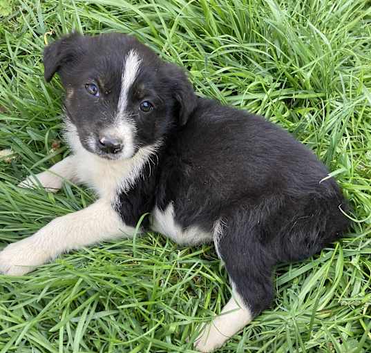 Photo of Maggie