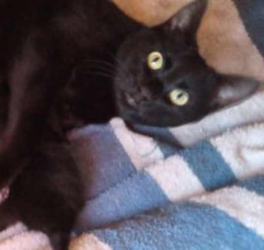 Photo of Sissy