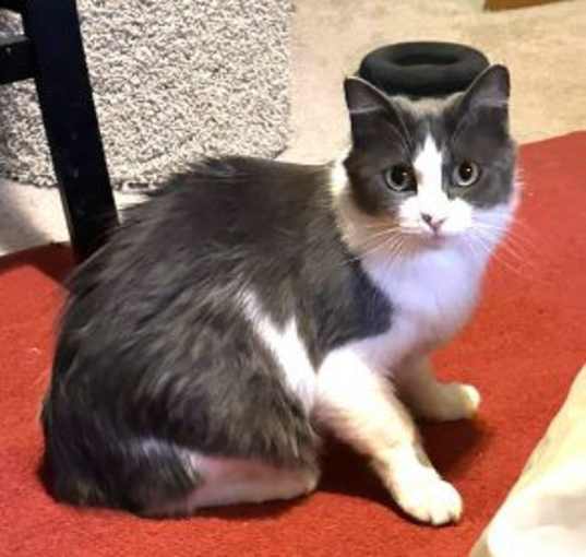 Photo of Pretty Girl